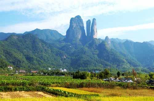 網(wǎng)站建設(shè)的最佳時(shí)機(jī)選擇(圖1)